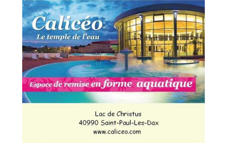Calicéo